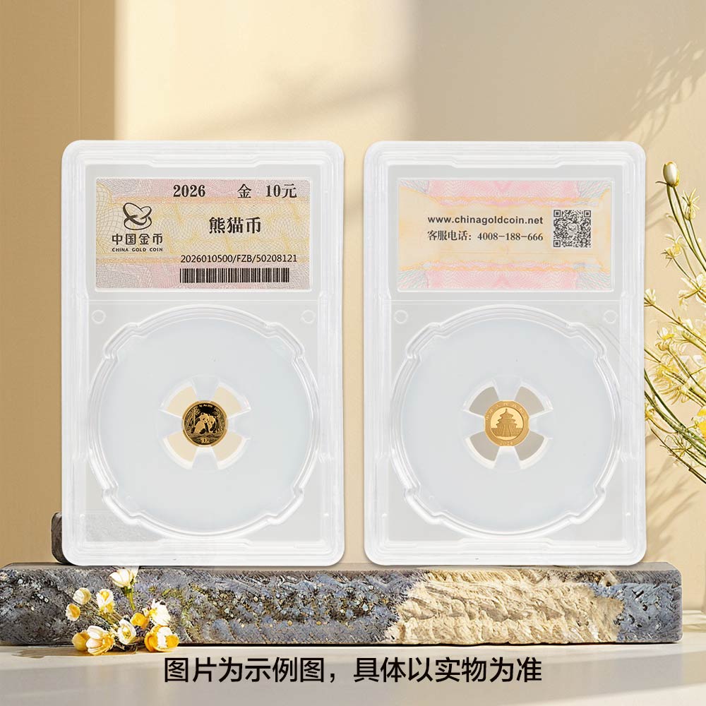 2026版熊猫普制1克封装金币