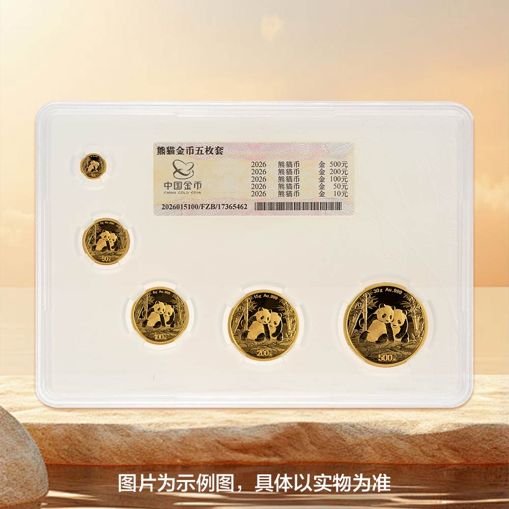 2026版熊猫普制封装金币套装（5枚大套）-限定版