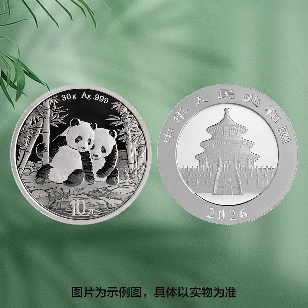 2026版熊猫普制30克银币