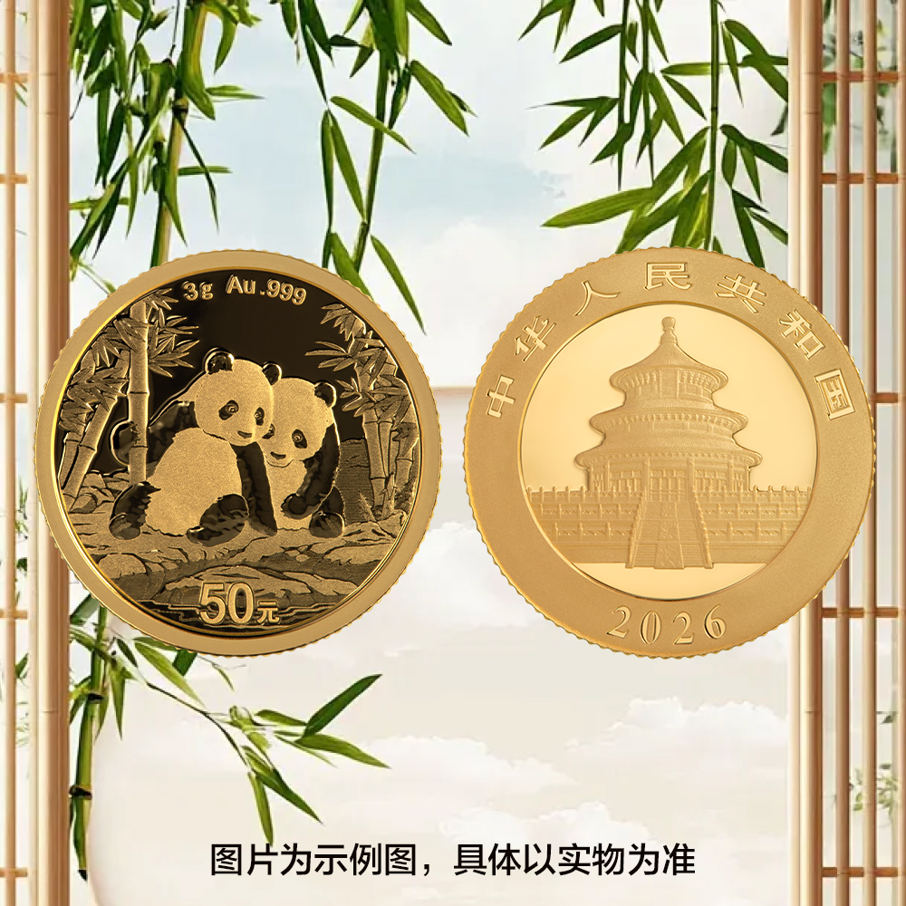2026版熊猫普制3克金币（非封装）