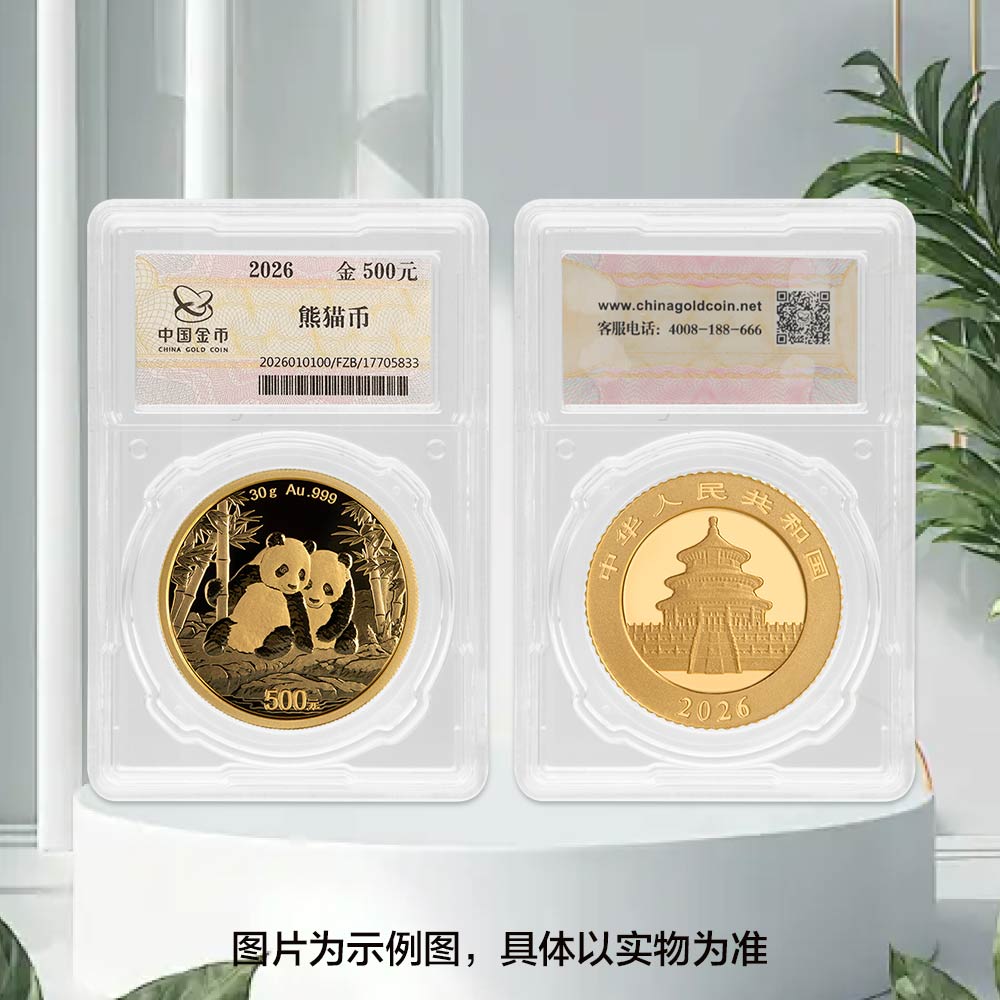 2026版熊猫普制30克封装金币